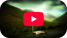 passing place - youtube